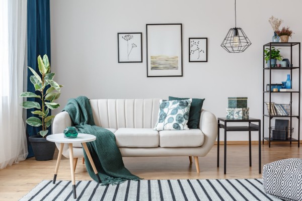 Plants In Corner